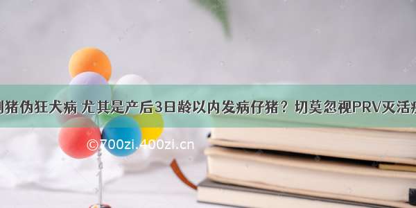 控制猪伪狂犬病 尤其是产后3日龄以内发病仔猪？切莫忽视PRV灭活疫苗