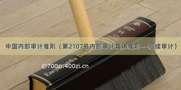 中国内部审计准则（第2107号内部审计具体准则——后续审计）