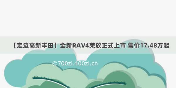【定边高新丰田】全新RAV4荣放正式上市 售价17.48万起