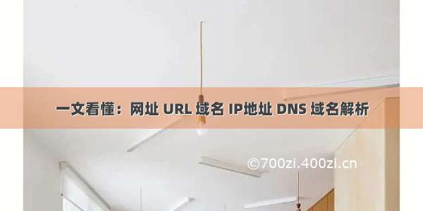 一文看懂：网址 URL 域名 IP地址 DNS 域名解析