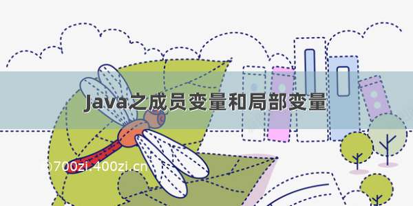 Java之成员变量和局部变量