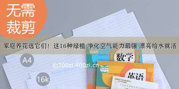 家庭养花选它们！这16种绿植 净化空气能力最强 漂亮给水就活