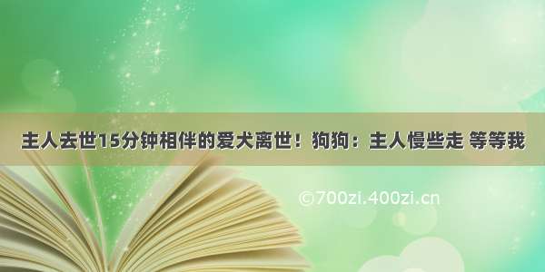 主人去世15分钟相伴的爱犬离世！狗狗：主人慢些走 等等我