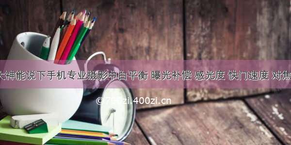 哪位摄影大神能说下手机专业摄影中白平衡 曝光补偿 感光度 快门速度 对焦分别是啥？