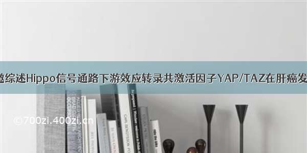 周大旺课题组受邀综述Hippo信号通路下游效应转录共激活因子YAP/TAZ在肝癌发生中的最新进展