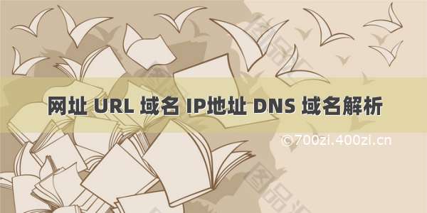 网址 URL 域名 IP地址 DNS 域名解析