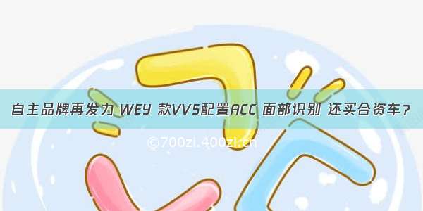 自主品牌再发力 WEY 款VV5配置ACC 面部识别 还买合资车？