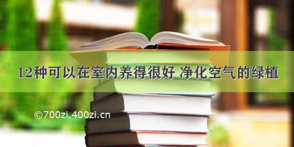 12种可以在室内养得很好 净化空气的绿植