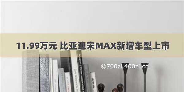 11.99万元 比亚迪宋MAX新增车型上市