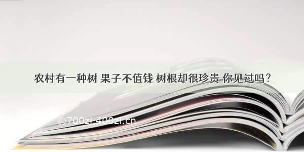 农村有一种树 果子不值钱 树根却很珍贵 你见过吗？