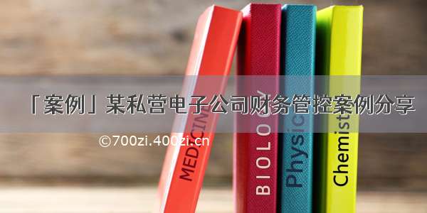 「案例」某私营电子公司财务管控案例分享