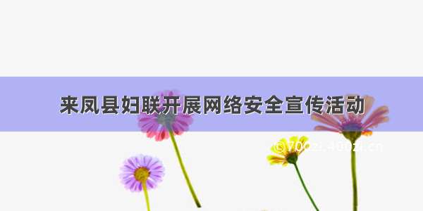 来凤县妇联开展网络安全宣传活动
