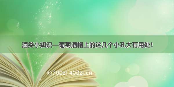 酒类小知识—葡萄酒帽上的这几个小孔大有用处！