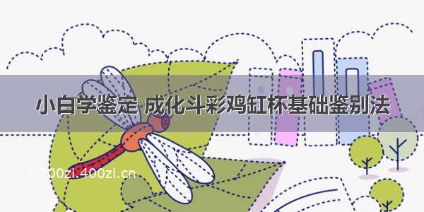 小白学鉴定 成化斗彩鸡缸杯基础鉴别法