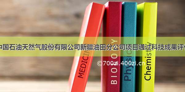 中国石油天然气股份有限公司新疆油田分公司项目通过科技成果评价