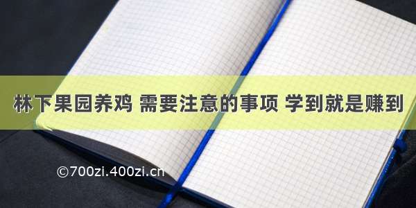 林下果园养鸡 需要注意的事项 学到就是赚到