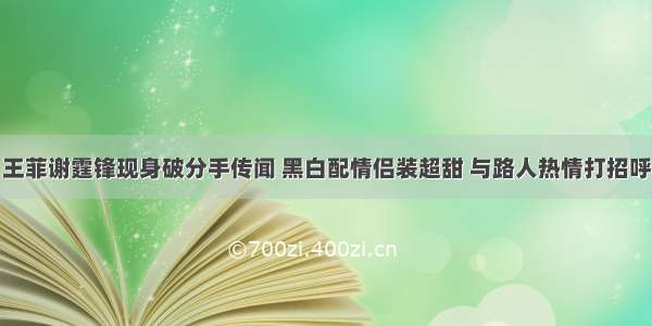 王菲谢霆锋现身破分手传闻 黑白配情侣装超甜 与路人热情打招呼