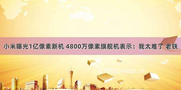 小米曝光1亿像素新机 4800万像素旗舰机表示：我太难了 老铁