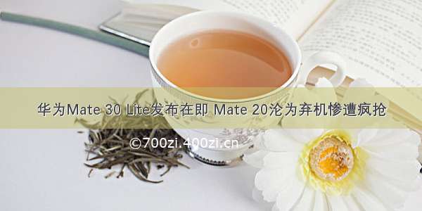 华为Mate 30 Lite发布在即 Mate 20沦为弃机惨遭疯抢