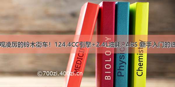 外观凌厉的铃木街车！124.4CC引擎+2.4L油耗+ABS 新手入门的选择