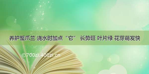 养护蟹爪兰 浇水时加点“它” 长势旺 叶片绿 花芽萌发快