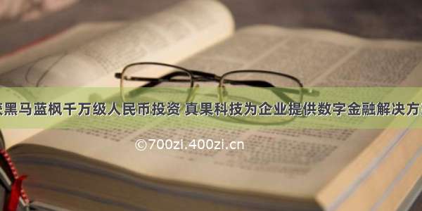 获黑马蓝枫千万级人民币投资 真果科技为企业提供数字金融解决方案