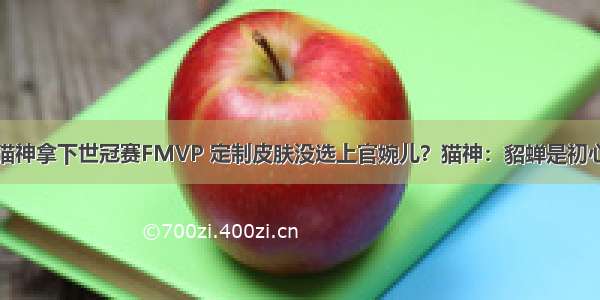 猫神拿下世冠赛FMVP 定制皮肤没选上官婉儿？猫神：貂蝉是初心