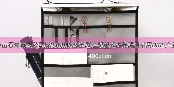 泰山石膏有限公司lxB50MW热电联产机组改扩建项目采用DMS产品