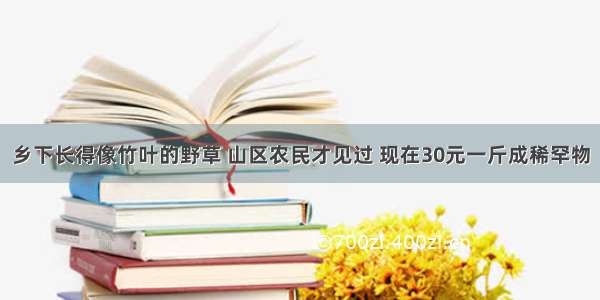 乡下长得像竹叶的野草 山区农民才见过 现在30元一斤成稀罕物