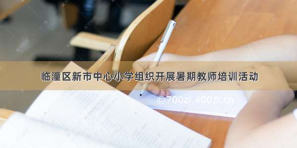 临潼区新市中心小学组织开展暑期教师培训活动