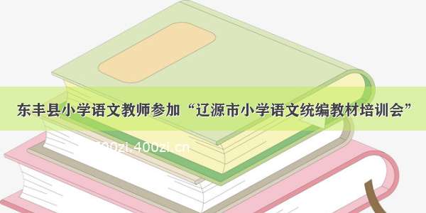 东丰县小学语文教师参加“辽源市小学语文统编教材培训会”