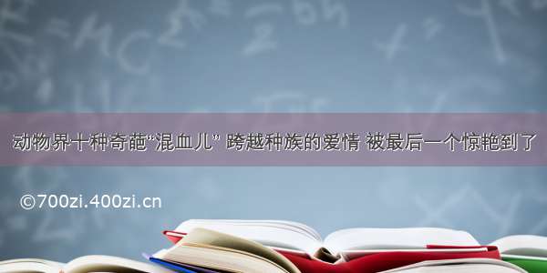 动物界十种奇葩“混血儿” 跨越种族的爱情 被最后一个惊艳到了