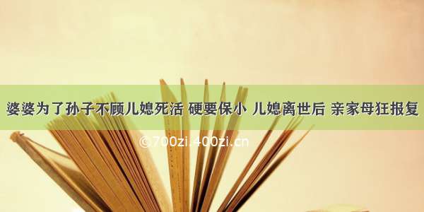 婆婆为了孙子不顾儿媳死活 硬要保小 儿媳离世后 亲家母狂报复