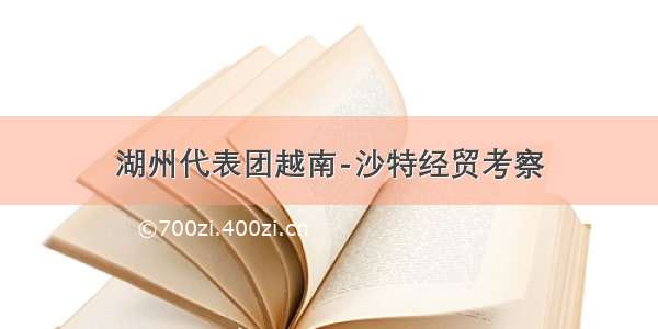 湖州代表团越南-沙特经贸考察