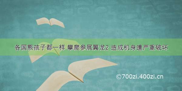 各国熊孩子都一样 攀爬参展翼龙2 造成机身遭严重破坏