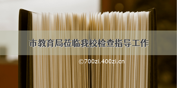 市教育局莅临我校检查指导工作