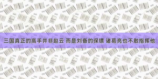 三国真正的高手并非赵云 而是刘备的保镖 诸葛亮也不敢指挥他