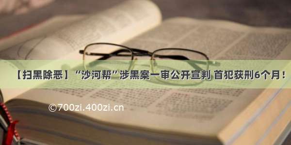 【扫黑除恶】“沙河帮”涉黑案一审公开宣判 首犯获刑6个月！