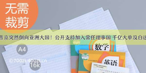 普京突然倒向亚洲大国！公开支持加入常任理事国 千亿大单没白送