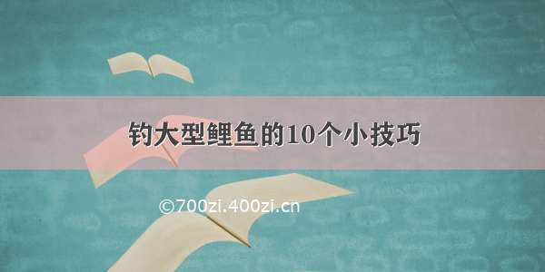 钓大型鲤鱼的10个小技巧