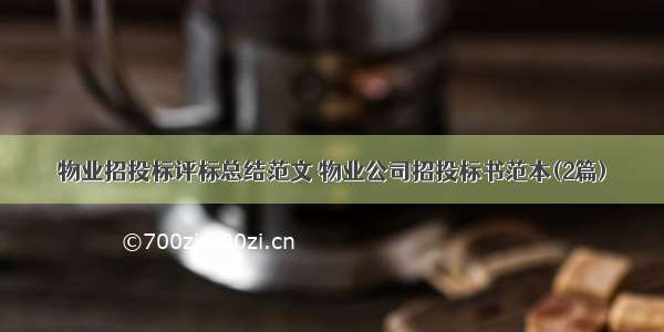 物业招投标评标总结范文 物业公司招投标书范本(2篇)