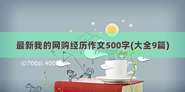 最新我的网购经历作文500字(大全9篇)