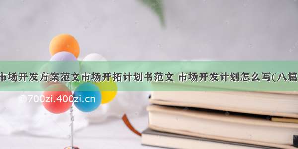 市场开发方案范文市场开拓计划书范文 市场开发计划怎么写(八篇)