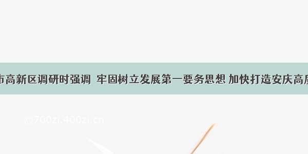 魏晓明在市高新区调研时强调  牢固树立发展第一要务思想 加快打造安庆高质量发展先