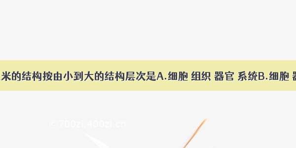 单选题玉米的结构按由小到大的结构层次是A.细胞 组织 器官 系统B.细胞 器官 组织