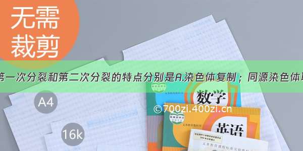 减数分裂第一次分裂和第二次分裂的特点分别是A.染色体复制；同源染色体联会B.同源