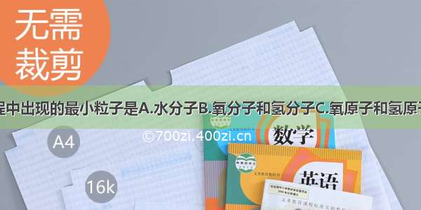 水电解的过程中出现的最小粒子是A.水分子B.氧分子和氢分子C.氧原子和氢原子D.氧元素和