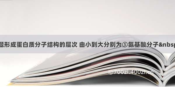 单选题形成蛋白质分子结构的层次 由小到大分别为①氨基酸分子 ②C