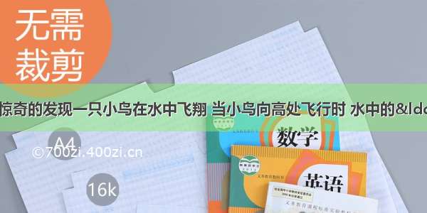 在湖边散步的小明惊奇的发现一只小鸟在水中飞翔 当小鸟向高处飞行时 水中的“小鸟”