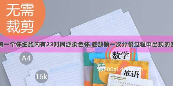 单选题人的每一个体细胞内有23对同源染色体 减数第一次分裂过程中出现的四分体个数和